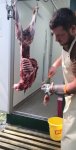 Wild zerlegen für den Eigengebrauch